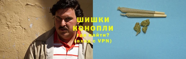 spice Володарск
