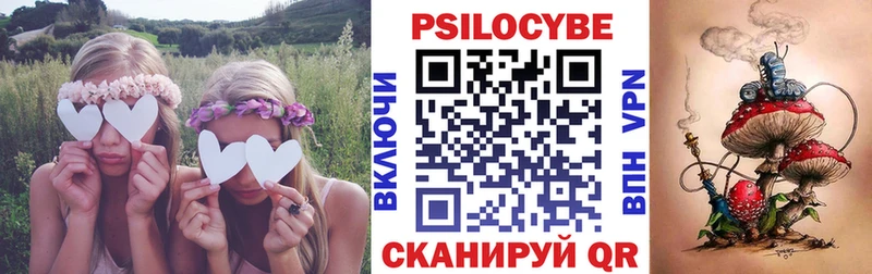 Псилоцибиновые грибы Psilocybe Славянск-на-Кубани
